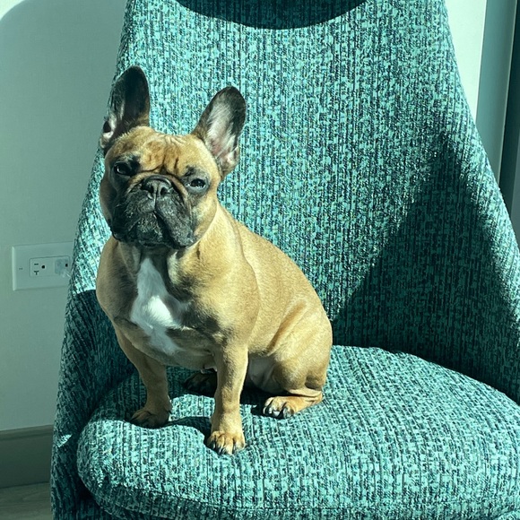 Meet your Posher, Christine - Picture 7 of 10